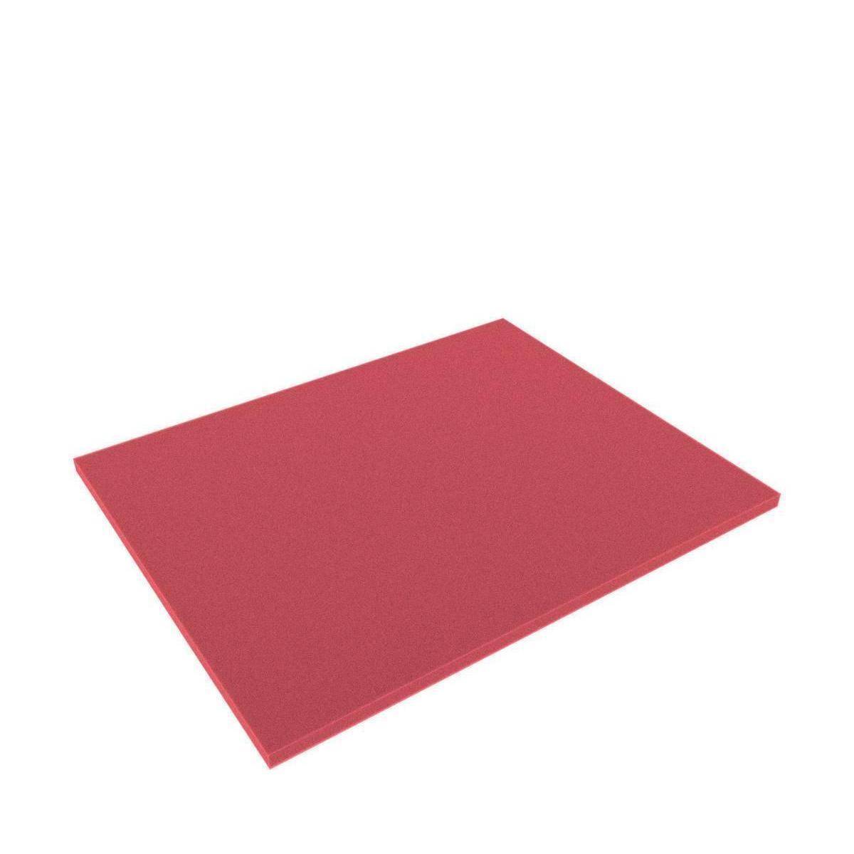 FS010BRED - Full-Size 345 mm x 275 mm x 10 mm Shadowboard Schaumstoffboden / Schau