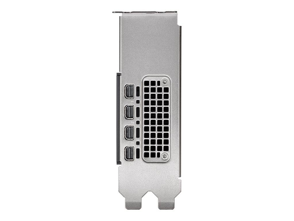 PNY NVIDIA - Grafikkarten - NVIDIA RTX 2000 Ada - 16 GB GDDR6