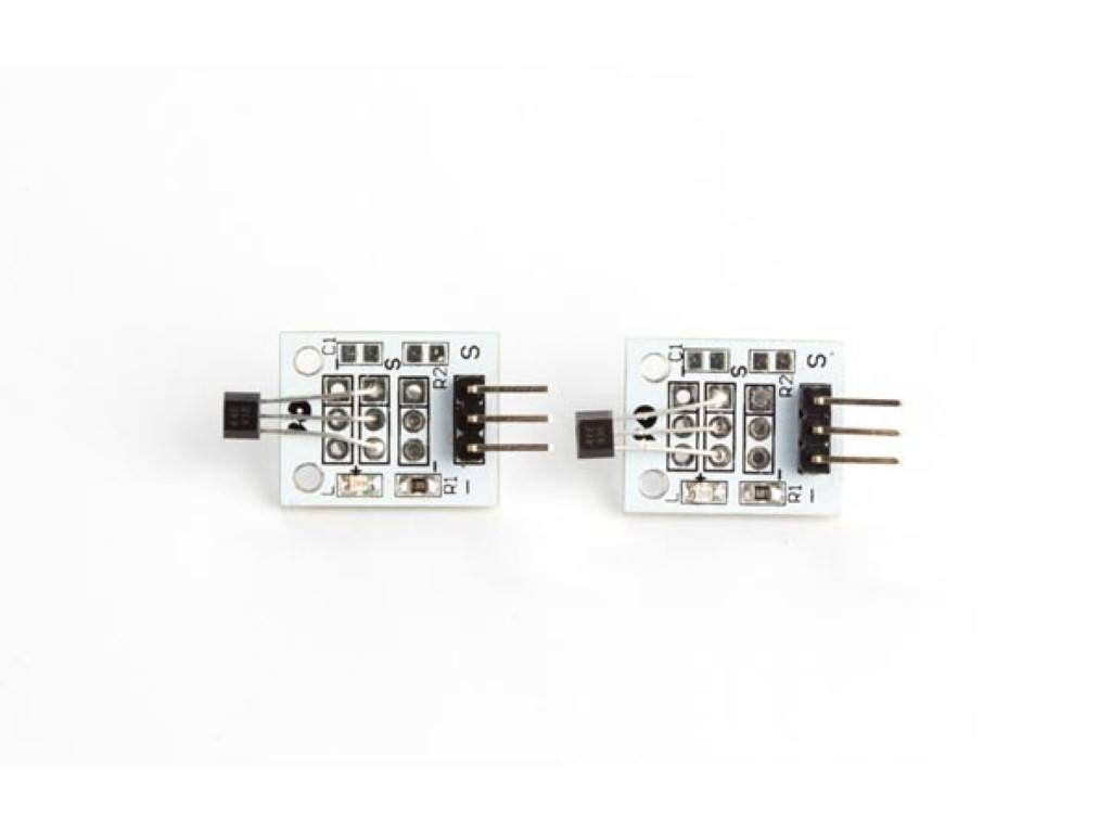 MAGNETISCHER HALL-SENSOR (HOLZER) (2-tlg.)