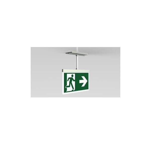 Fluchtzeichenschild mit weißer Figur, die nach rechts in Richtung eines Pfeils auf grünem Hintergrund geht und die Richtung zum Notausgang anzeigt.