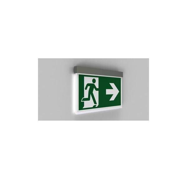 Fluchtwegeschild mit einer Figur, die nach rechts zu einem Pfeil läuft und damit die Richtung zum Notausgang anzeigt.