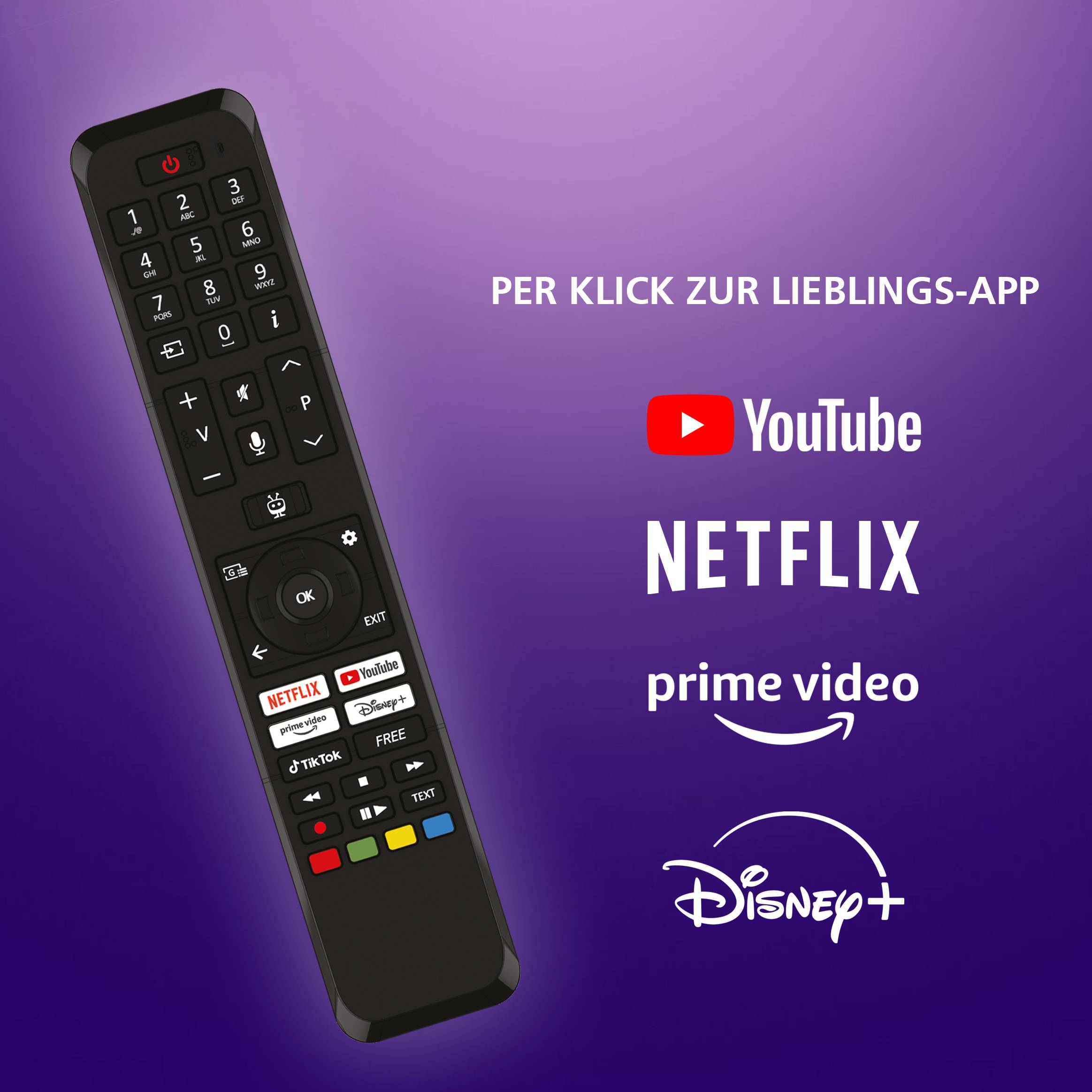 JVC LT-24VH5455W Fernseher 24 Zoll Smart TV by TiVo HD-Ready, HDR, Triple-Tuner, 6 Monate HD+ (2026)