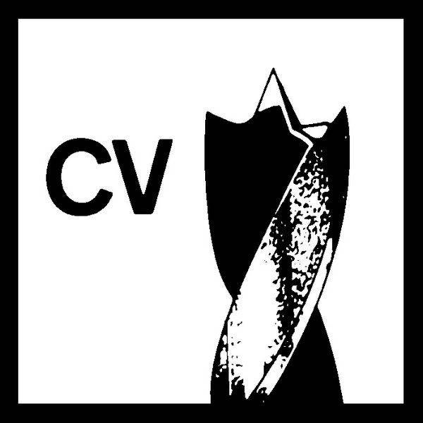 Bosch Power Tools Holzspiralbohrer Standard, 2608596311