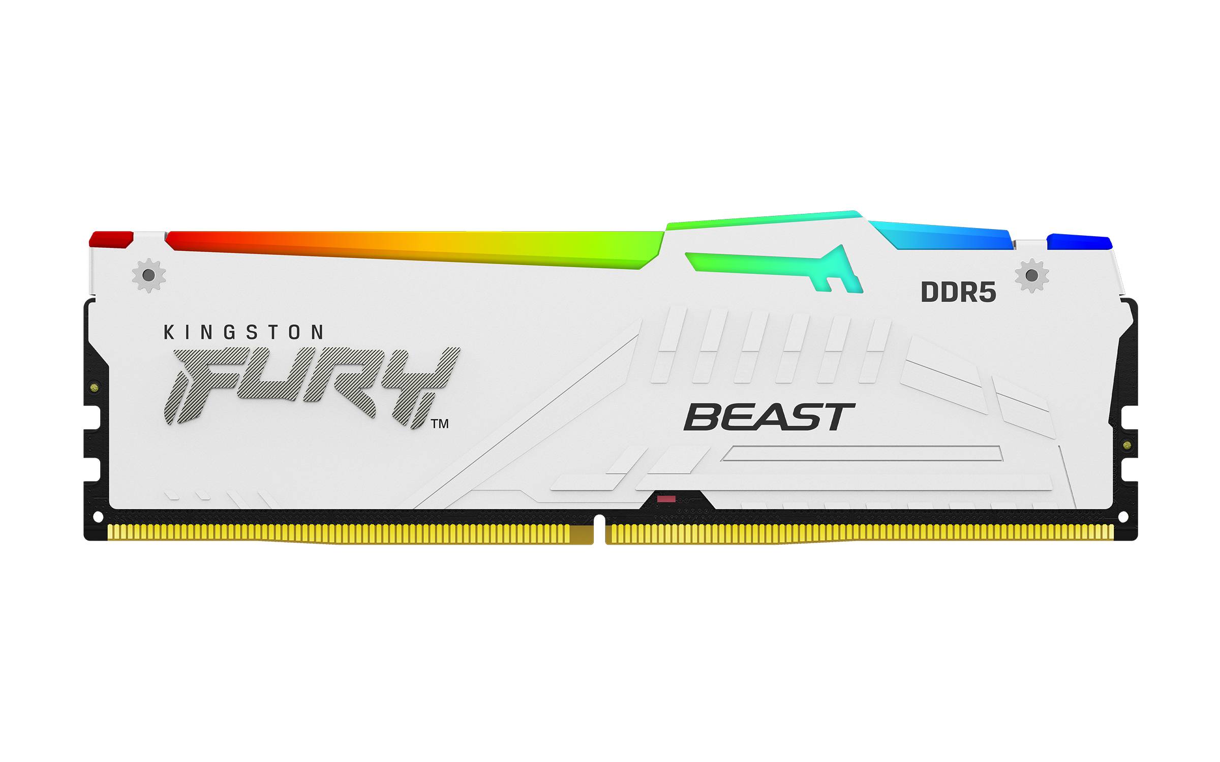 Weißes Kingston FURY Beast DDR5 Desktop-RAM-Modul mit RGB-Leuchtstreifen in Regenbogenfarben oben.