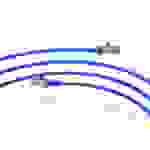 Inca ICAT6-03TM RJ45 Cat6 UTP Netzwerkkabel Ethernetkabel LAN-Kabel Blau 3 Meter