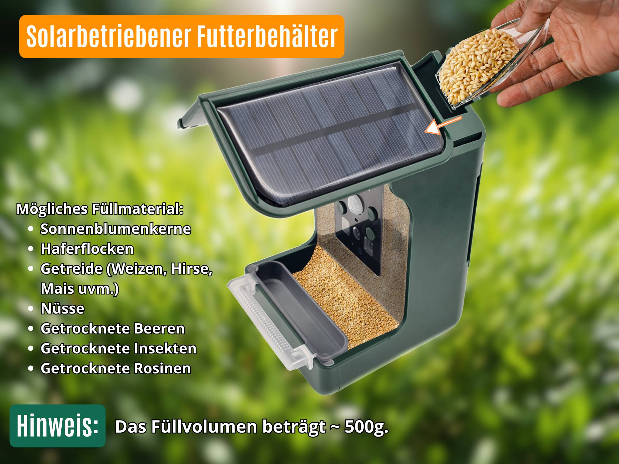 Berger & Schröter Vogel-Futterhaus mit Kamera und Solar