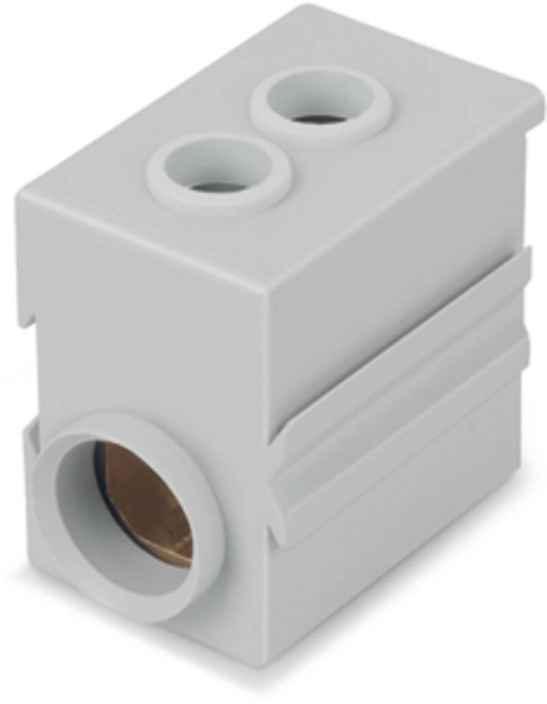 WAGO GmbH & Co. KG Einspeisemodul 811-471