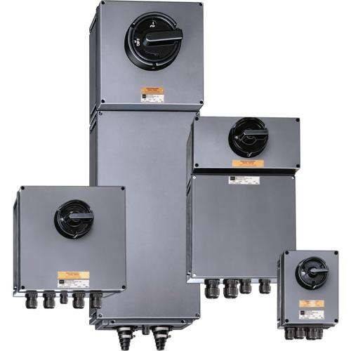 Stahl Lasttrennschalter 8146/5-V11604#221388