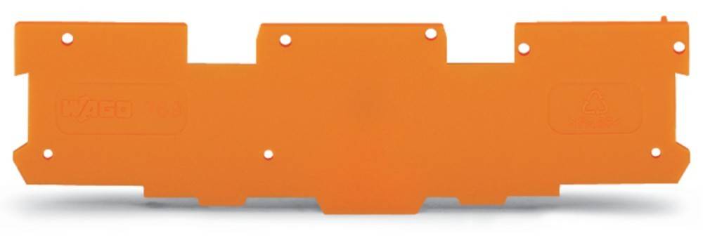 WAGO GmbH & Co. KG Abschluss-u.Zwischenplatte 769-318