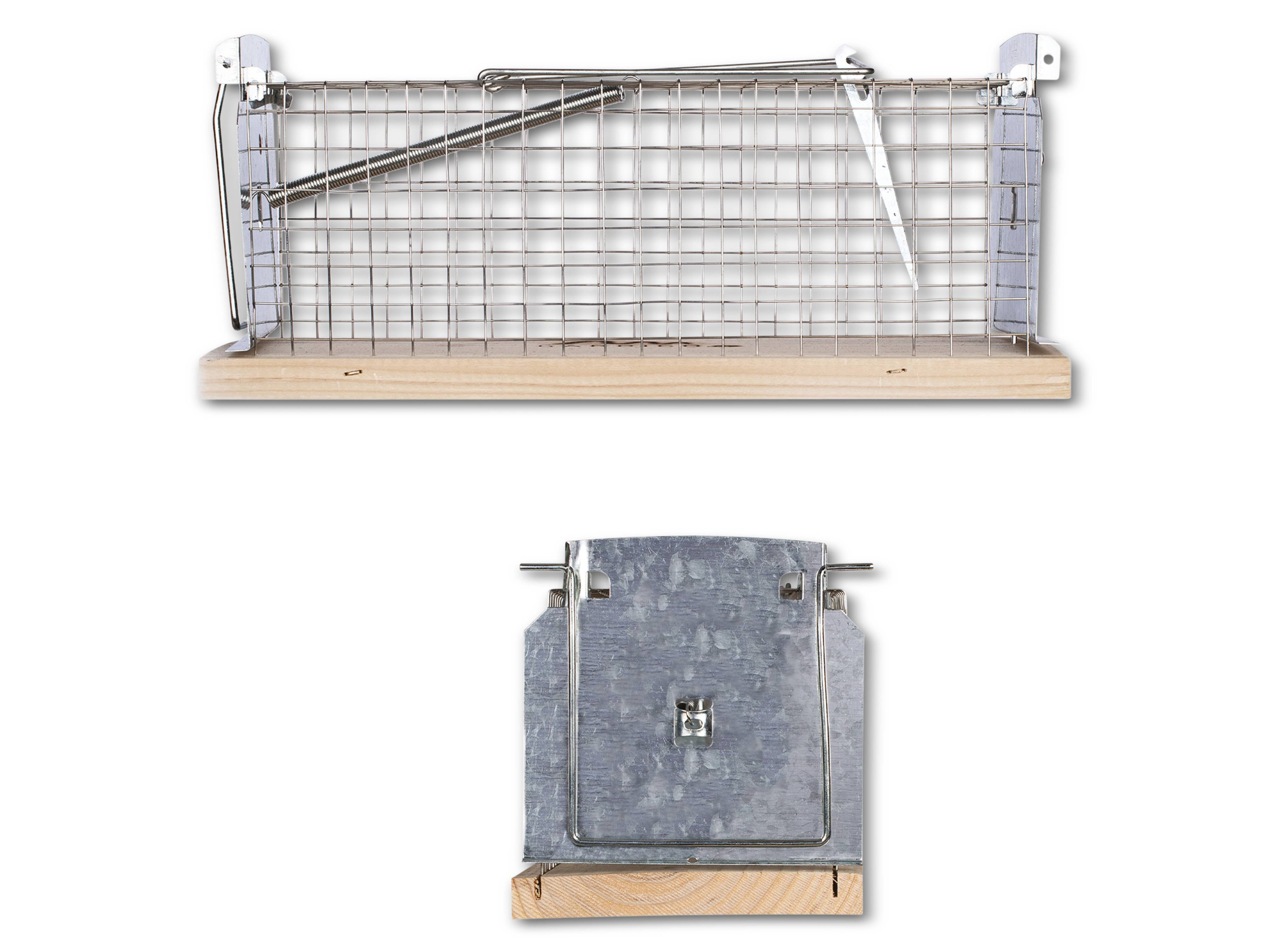 Eine Metalldrahtfalle mit einer Holzbasis wird gezeigt. Die Falle ist offengestellt und signalisiert, dass sie bereit ist, kleine Tiere zu fangen.