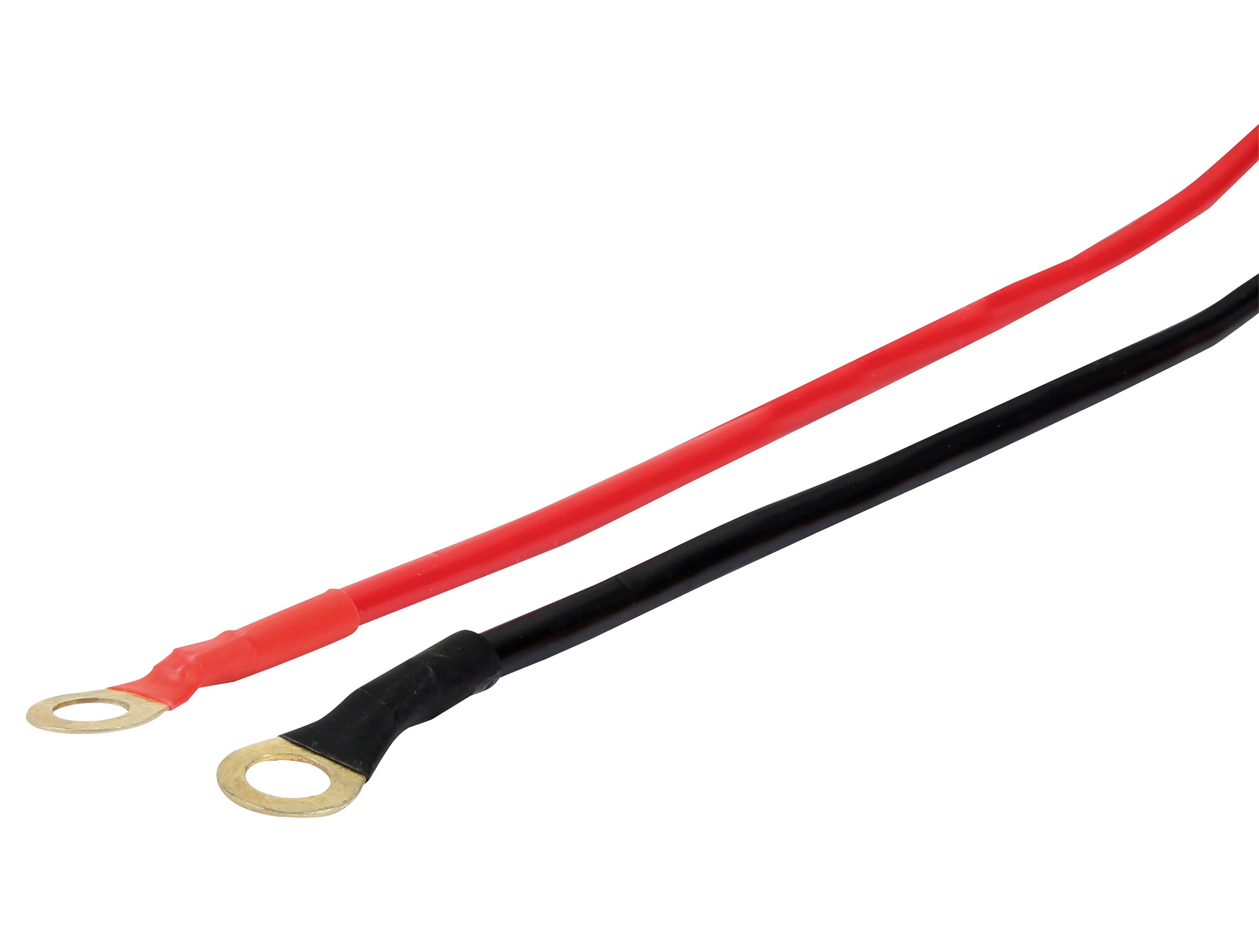 „Rote und schwarze Drähte mit Ringkabelschuhen auf weißem Hintergrund, verwendet für elektrische Verbindungen.