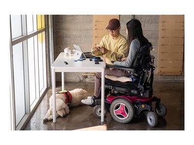 MS Adaptive Dual Button Comm Eingabe / Ausgabe Mäuse & Tastaturen