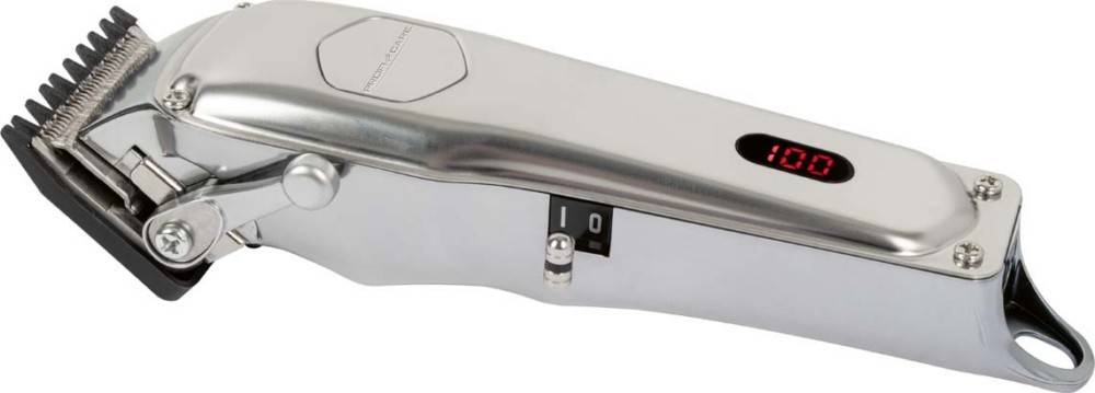 PROFI CARE Haar/Bartschneider PC-HSM/R 3100 inox
