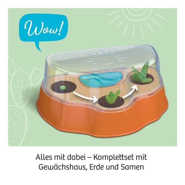 KOSMOS - Kakteen-Wüste