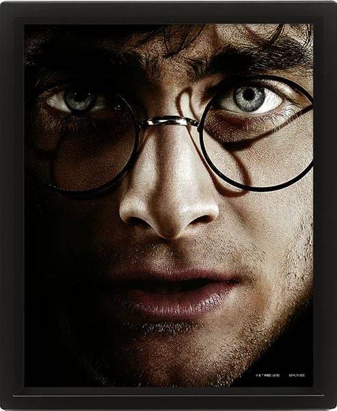 Harry Potter (harry Vs Voldemort) - Framed