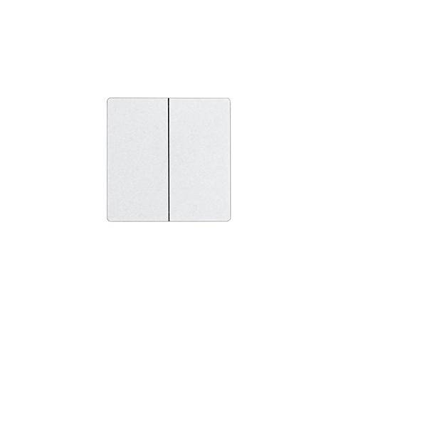 Eltako Doppelwippe im E-Design55 DW-W2T55E-wg