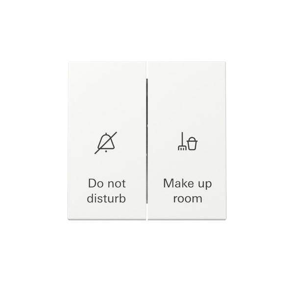 Gira Wippschalter Anzeige Hotel 310427