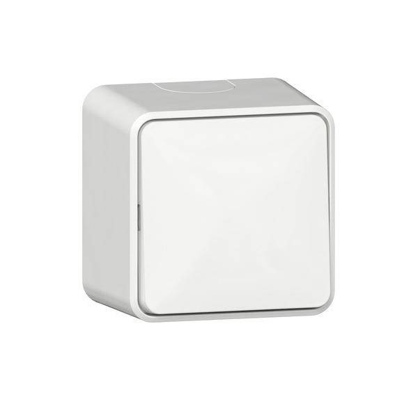 Gira Wippschalter 310613