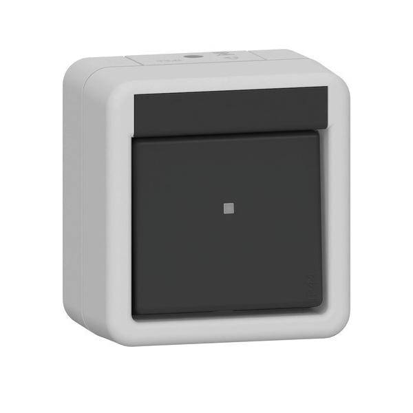 Gira Wippschalter 310630