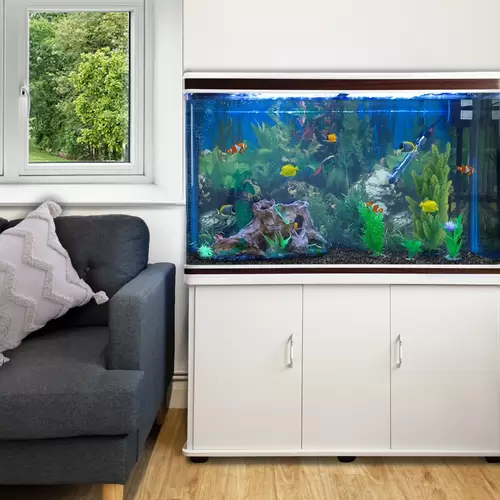 300L Aquarium Komplettset mit Unterschrank - Weiss 300L Aquarium Komplettset mit Unterschrank - Weiss