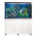 300L Aquarium Komplettset mit Unterschrank & blauer Kies 300L Aquarium Komplettset mit Unterschrank & blauer Kies