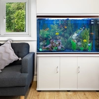 300L Aquarium Komplettset mit Unterschrank & blauer Kies 300L Aquarium Komplettset mit Unterschrank & blauer Kies