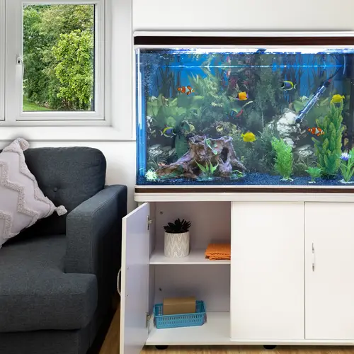 300L Aquarium Komplettset mit Unterschrank & blauer Kies 300L Aquarium Komplettset mit Unterschrank & blauer Kies