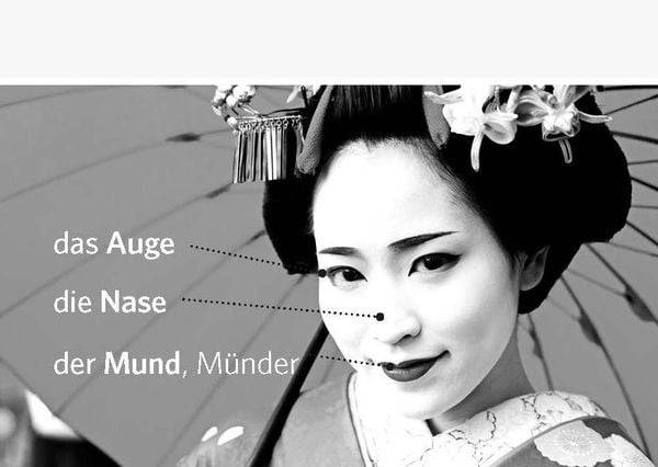 PONS Power-Vokabelbox Japanisch in 4 Wochen