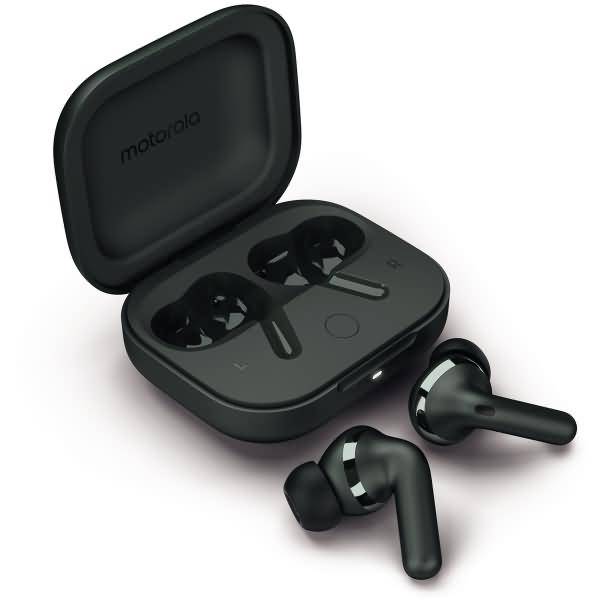 Motorola Moto Buds Plus - Forrest Grey