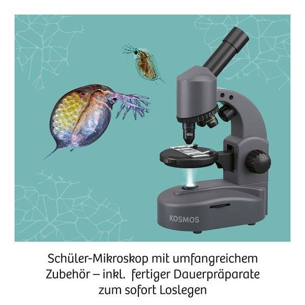 KOSMOS 636098 - Mikroskop, Schüler-Mikroskop mit exakter Mechanik, Experimentierkasten