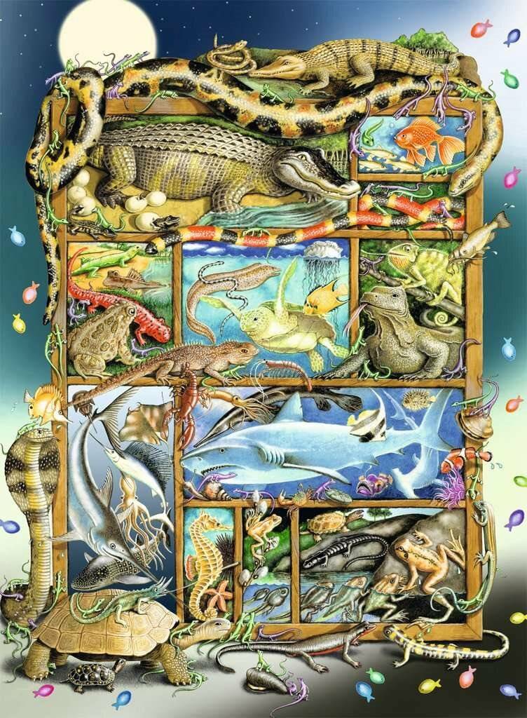 Ravensburger Ravensburger Kinderpuzzle 12000866 Reptilien im Regal 200 Teile XXL Puzzle fü r Kinder ab 8 Jahre