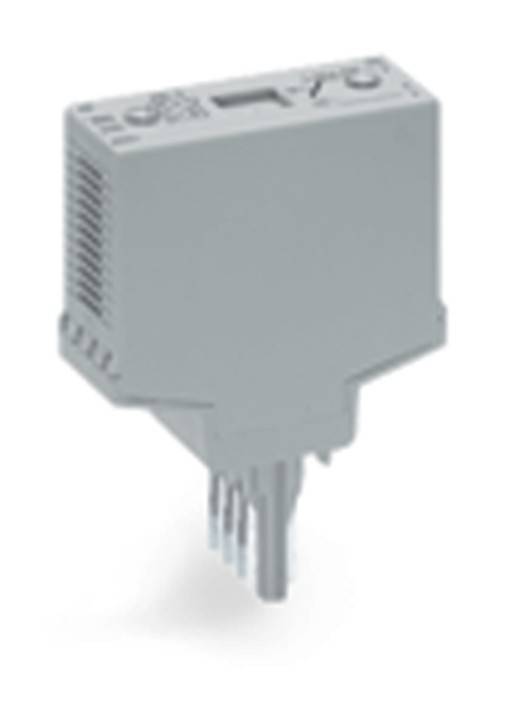 WAGO GmbH & Co. KG Leerstecker Typ 11 286-112