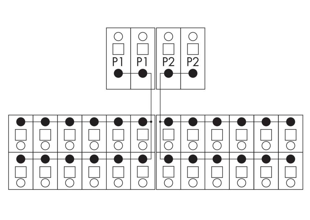 WAGO GmbH & Co. KG Potentialverteilermodul 830-800/000-316