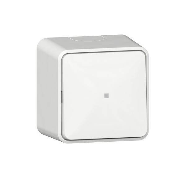 Gira Wipptaster Wechsler 315613