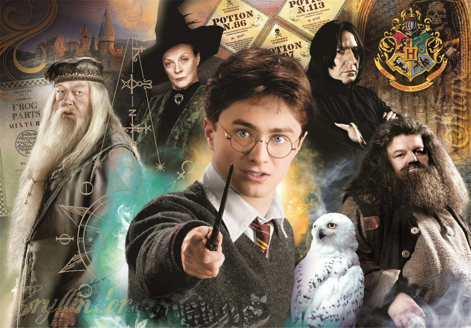 Harry-Potter-Puzzle 1000Stü ck