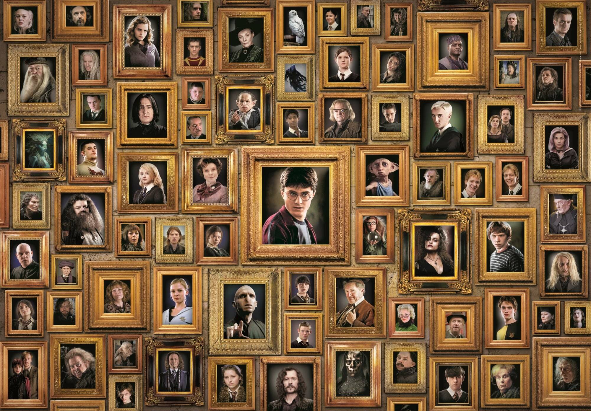 Harry-Potter-Puzzle 1000St&amp;#252 ck