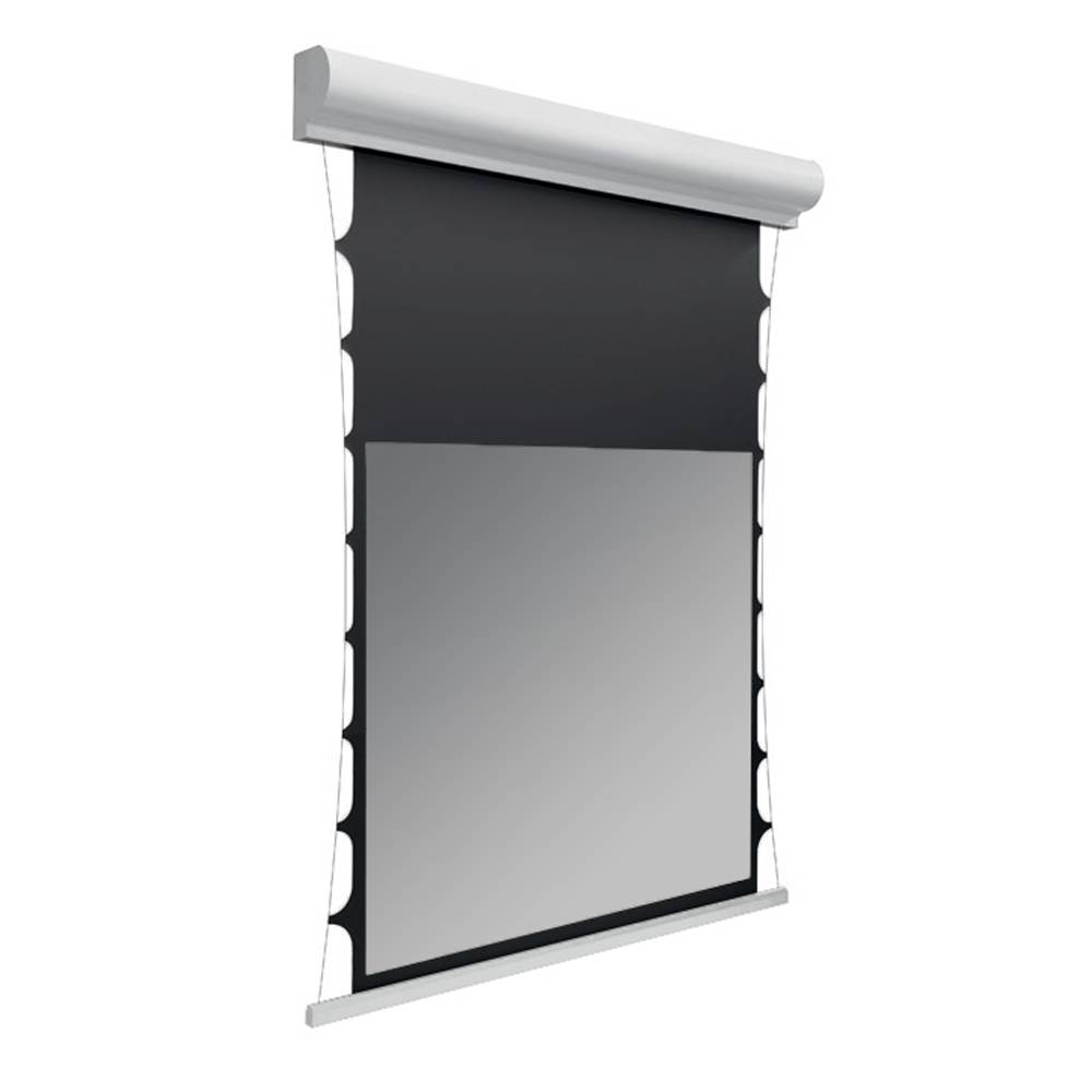 DELUXX Cinema Hochkontrast-Leinwand Tension II 220 x 124 cm, 100" - DAYVISION ALR