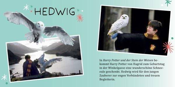 Aus den Filmen zu Harry Potter: Magische Weihnachten - Der offizielle Adventskalender - Magische Tierwesen