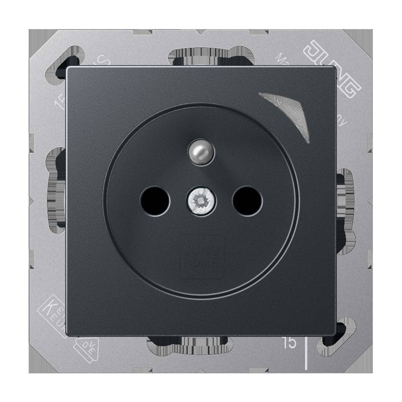 Jung Steckdose BT A 1521 F SE ANM