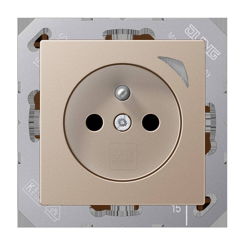 Jung Steckdose BT A 1521 F SE CH