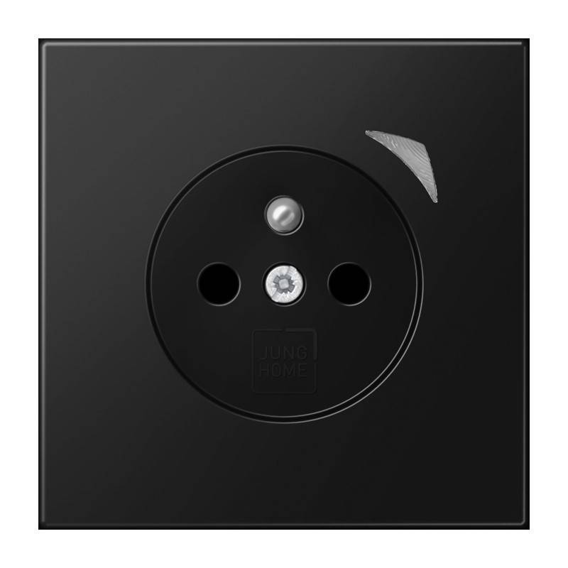 Jung Steckdose BT LS 1521 F SE SWM