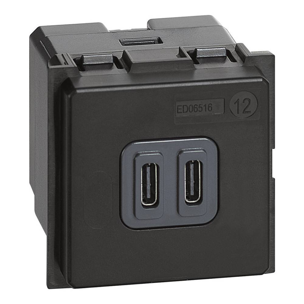Dieses Bild zeigt ein schwarzes elektrisches Steckdosenmodul mit zwei USB-C-Anschlüssen an der Vorderseite. Es ist für die Integration in eine Platte konzipiert.