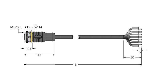 Turck Aktuator- u. Sensorleitung RKC12T-15/TXL