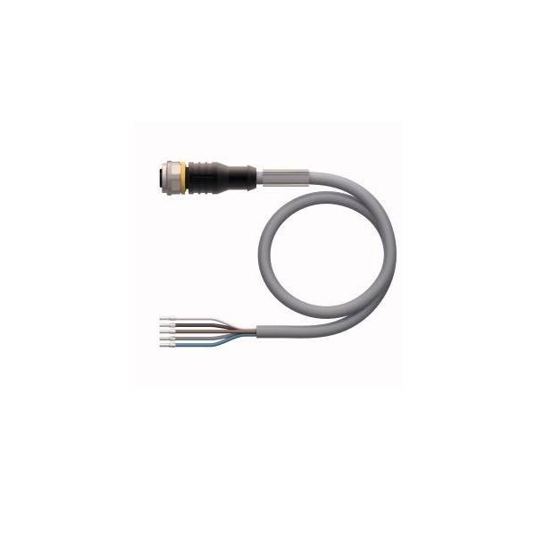 Turck Aktuator- u. Sensorleitung RKC4.5T-25/TXG