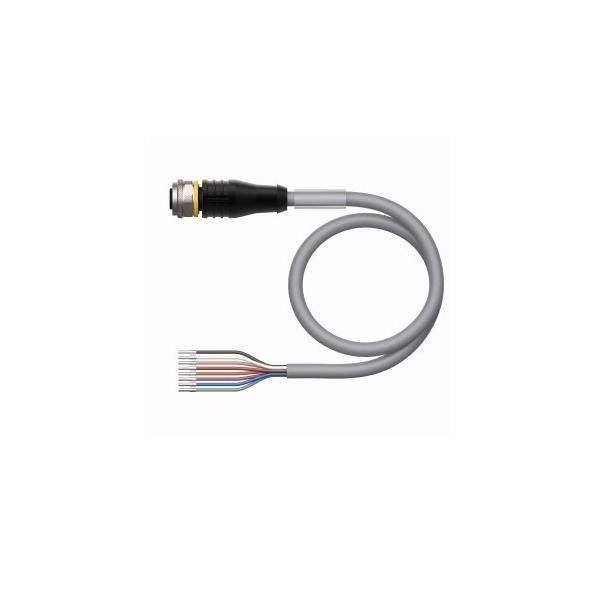 Turck Aktuator- u. Sensorleitung RKS8T-5/TEG