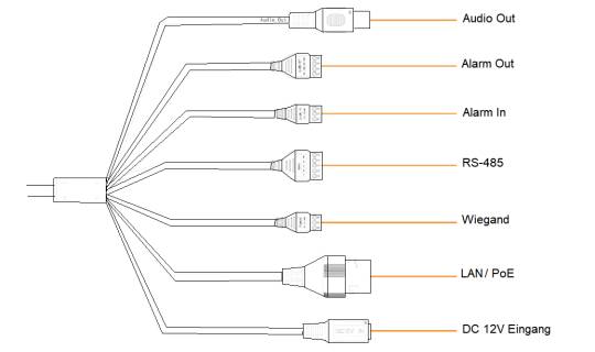 Schaltplan mit einer Geräteverkabelung, die sich in Stecker aufteilt, die mit Audio Out, Alarm Out, Alarm In, RS-485, Wiegand, LAN/PoE und DC 12V-Eingang gekennzeichnet sind.