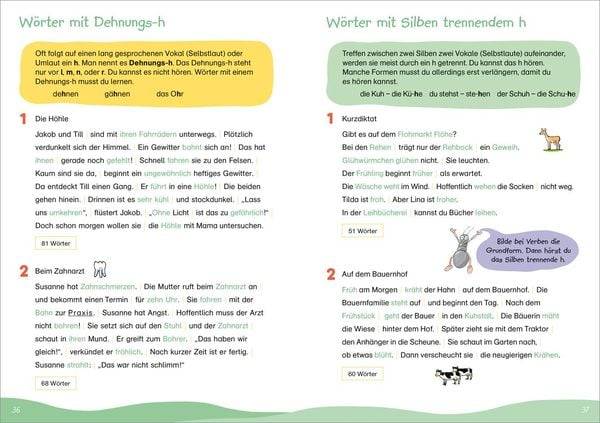 Fit für Diktate 3. Klasse. Mein Übungsheft