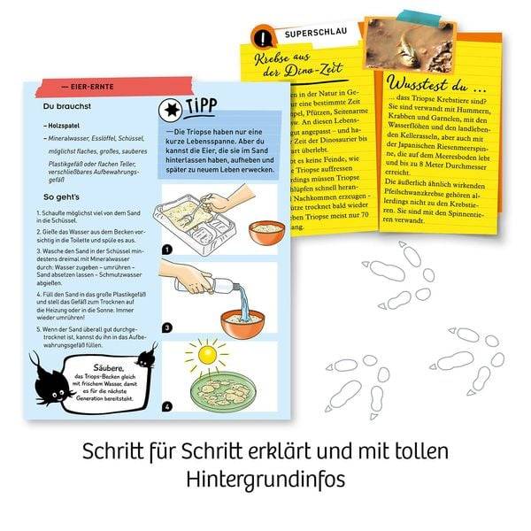 KOSMOS 637231 - Fun Science, Triops züchten, Experimentierkasten