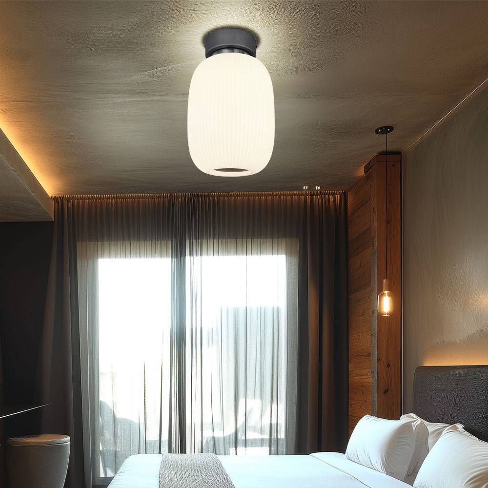 Deckenleuchte Deckenlampe Wohnzimmerleuchte Schlafzimmerlampe Küchenleuchte oval, Metall Glas graphit nickel, 1x LED 21W 1237Lm 3000K warmweiß, H 32