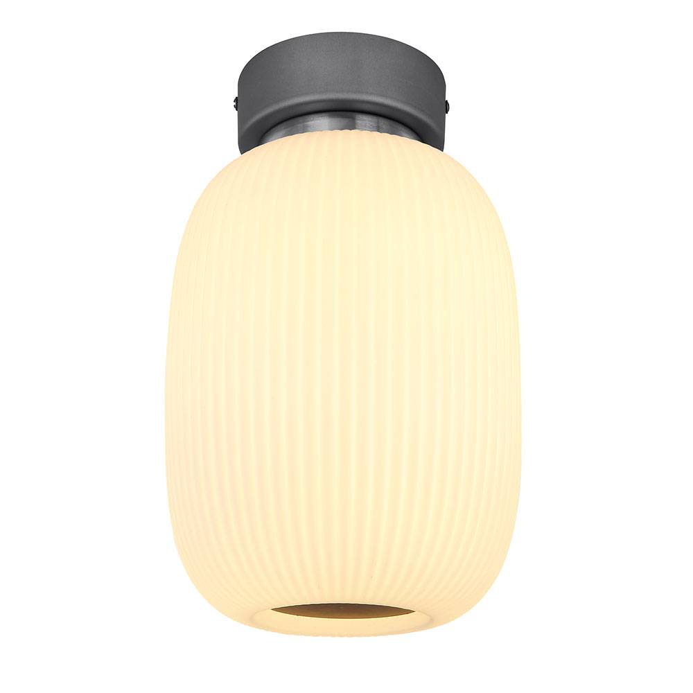 Deckenleuchte Deckenlampe Wohnzimmerleuchte Schlafzimmerlampe Küchenleuchte oval, Metall Glas graphit nickel, 1x LED 21W 1237Lm 3000K warmweiß, H 32